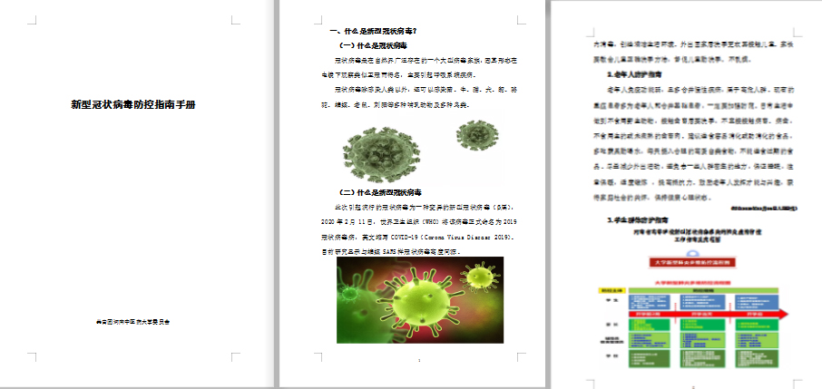 图片11